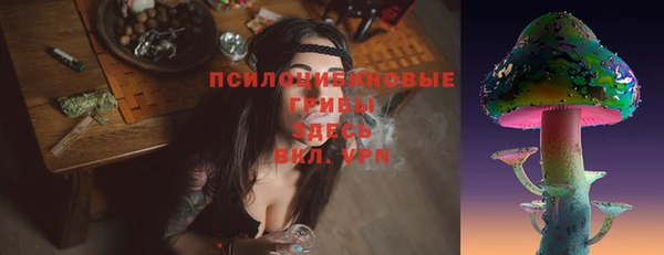 трава Армянск