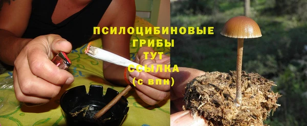 трава Армянск
