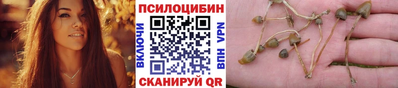 Псилоцибиновые грибы ЛСД  Сурск 