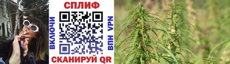 мега как войти Сурск Каннабис Amnesia